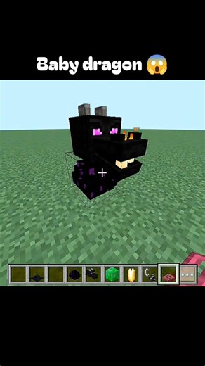 Minecraft baby dragon 😱