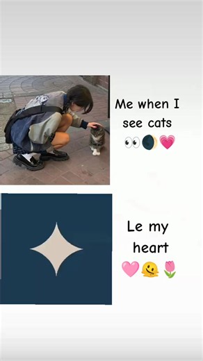 Why I Melt When I See Cats — Cute Cat Reactions Explained