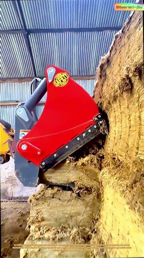 Maîtriser la fermentation : comment les dents extraient 3 tonnes d’aliments