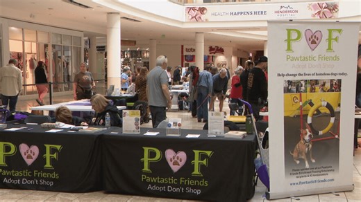 Pawtastic Friends nonprofit hosts first-ever collaborative dog adoption event