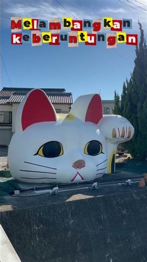 Ketemu Tokonyan! Kucing Raksasa Ikon Jepang 🐱✨#Tokoname
