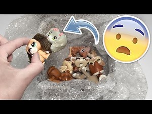 eBay Package Openings | LPS