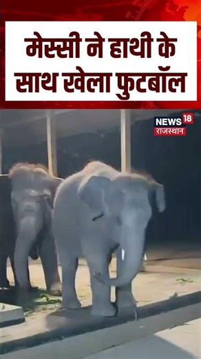 Messi Vantara Visit : मेस्सी ने हाथी के साथ खेला फुटबॉल | N18S | #messi #football #vantara #shorts