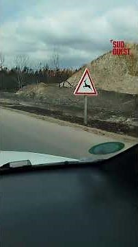 Images de la route départementale 106, axe Bordeaux - Lège-Cap-Ferret