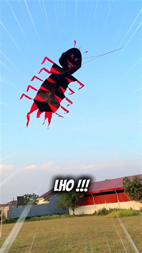 Unique caterpillar kite that can move GEOL-GEOL !! #kites #kite #cute #funny #toys