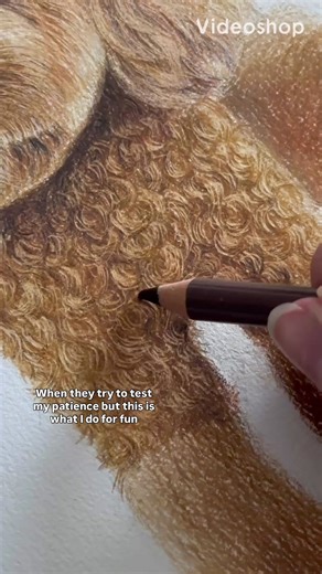 The Art of Drawing Pets: Patience and Skill Development