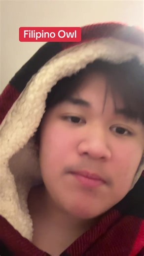 Filipino Owl Videos: Adorable Clips and Sounds