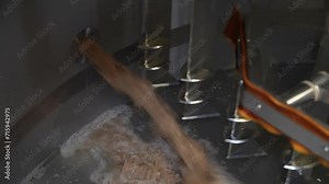 System for mashing and filtering wort. Filtration of freshly brewed wort in the large steel vat at the brewhouse. Craft production of ale and light beer. Beer tank at a brewery