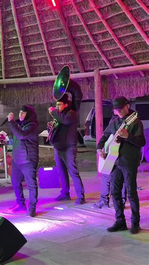 Exploring Elvira: A Journey Through Regional Mexicano