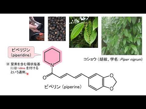 【薬の化学構造名の由来を知ろう！：医薬品化学名[語源]事典mini】（１）ピペリジンとピペラジン