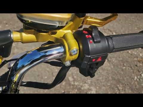 Zilla Motorcycle Review | New Yeng Yeng Bike?