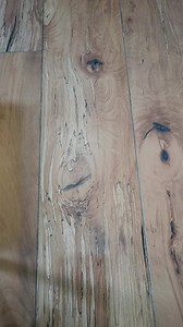 Free Organic Compost (Kitchen Waste) #terracegarden #gardening #gardengoals #plants #viralreels #trendingreels | बाग बगीचा