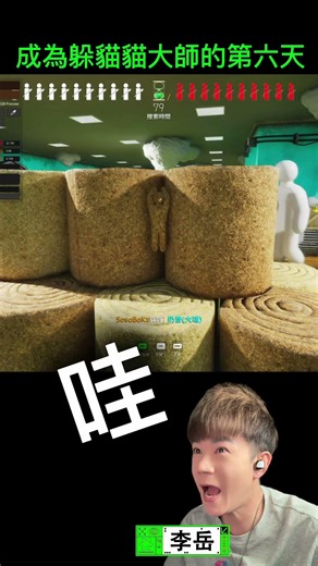 成為躲貓貓大師的第六天！#躲貓貓大師 #廢柴觀測站 #mecchachameleon