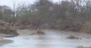 Atmospheric River Storm Update: Elk Grove flooding and down trees