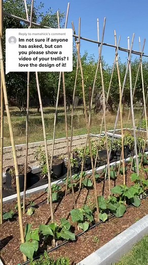 Minute Gardening (@minutegardening) - Garden Design Ideas: Growing Your Own Vegetables with Trellis Designs
