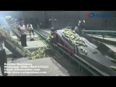 Automatic Sweet Corn Air Blow Husker and Head Cutting Machine