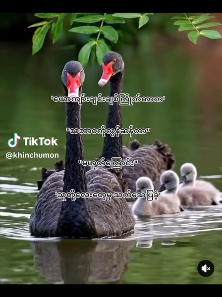 bl uke love story: black duck romance short
