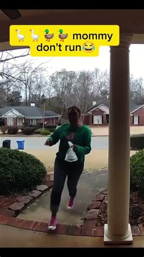 Hilarious Animal Moments You Can’t Stop Watching! 🐶😂#nirwansamarakoon#funny animal videos #funnyreel