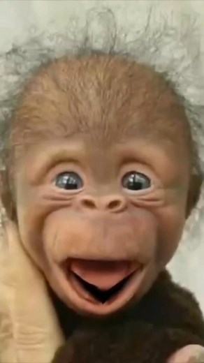 109 reactions · 13 comments | My sleep over  #single #couple #nigeria #singlemom #fblifestyle #couples #viralreelschallenge | Abenjo Abenjo | Facebook