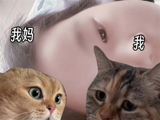 【hgnhhhij】最新视频已上线，快来围观！