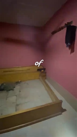 Room Makeover Inspiration for 2025 Season