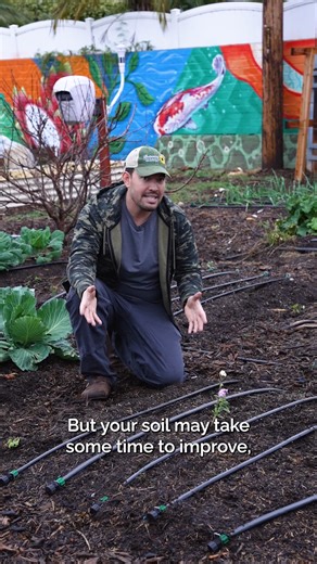 7.9K views · 69 reactions | Not sure whether to grow in raised beds or straight in the ground? Here’s a simple guide to the benefits, drawbacks, and how to pick the setup that fits your garden best. | All About Gardening | Facebook