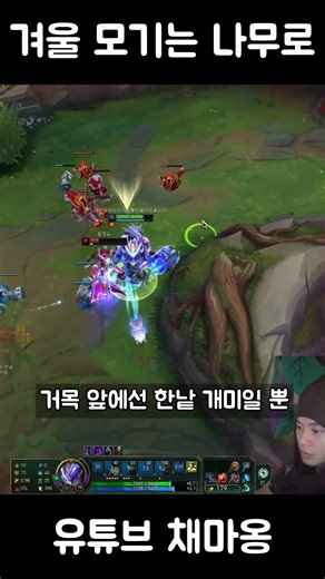 26시즌 탱커는 마오카이 #lol #마오카이