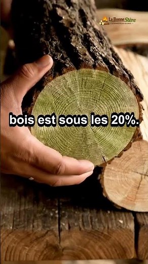 La Bonne Stère : la marketplace du bois de chauffage 🌲