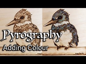 Adding Colour to Wood Burning? | King Fisher with Colourful Feathers | Pyrography Time-lapse