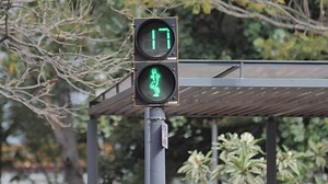 Animated pedestrian traffic light with a reverse timer - Free Stock Video