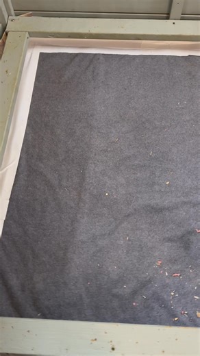 Thistle Hill Labradors on Reels