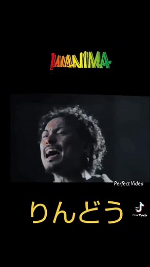 WANIMAの「りんどう」歌詞動画