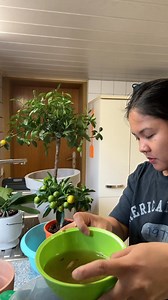 Watering my indoor plants. | Pearly Alms