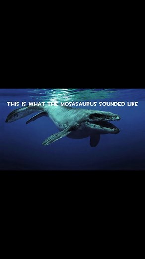 This Is What The Mosasaurus Sounded Like #mosasaurus #dinosaur #creepy #unsettling #creepysound #ocean #thalassophobia