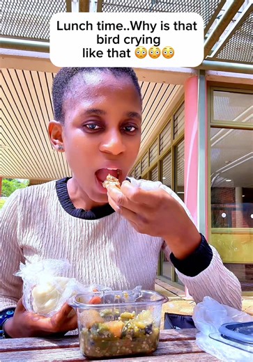 Enjoying a Packed Lunch: Easy Family Lifestyle