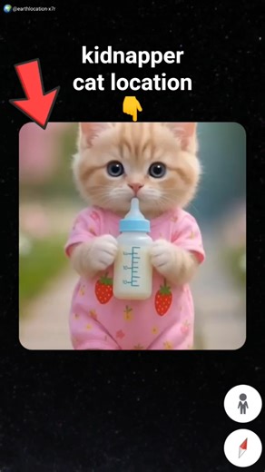 kidnapper cat 😶‍🌫️ location the real on Google maps and google earth 🌎 #shots#earth location