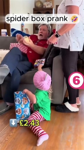 spider box compilation 🤣🤣