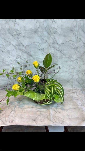 202603 かご 観葉植物アレンジ