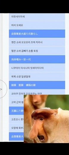 비노미 가사뜻