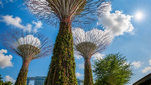 Discovering Singapore's Gardens by the Bay (4K)
