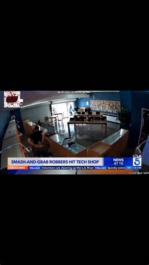 Pepper spray fight between store clerk and gang of thugs in Los Angeles | The Savage Diary