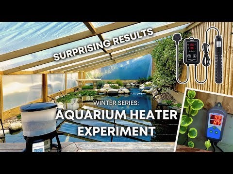 DID IT WORK? Heating my pond with and aquarium heater plus winter updates!