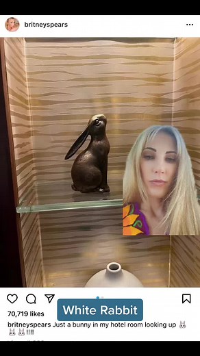 ClassyRedneckLady on TikTok