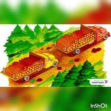 Circuito productivo del papel