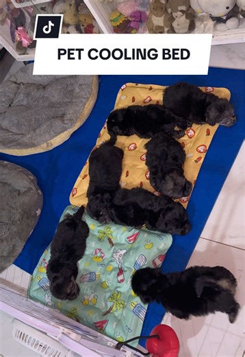 Durable Dog Cooling Pad for Ultimate Comfort