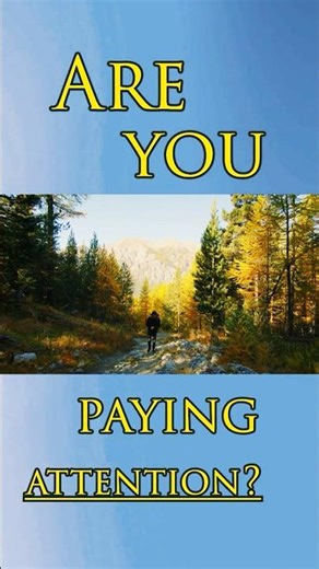 Pay Attention | In Case You Need This #13