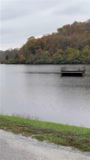 View from the parking lot at Doe Run Lake #nature #hiking #lakes #hikingtrails