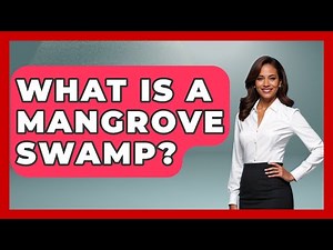 What Is A Mangrove Swamp? - The Marine Life Explorer
