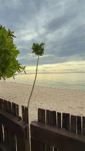 Explore the Beautiful Beaches Near Cebu