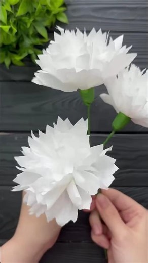 How to make Easy Tissue Paper Flowers DIY Paper Craft Tutorial